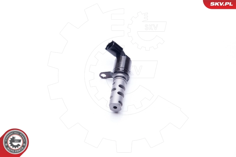 Control Valve, camshaft adjustment 39SKV017