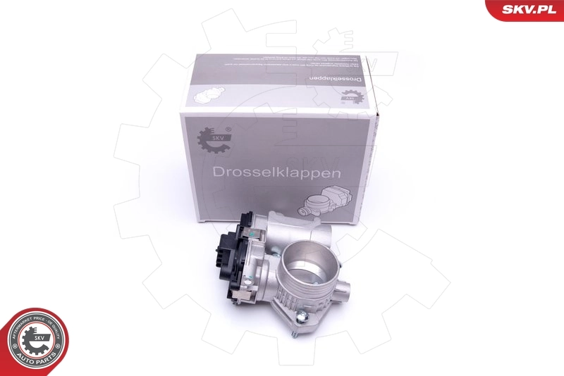 Throttle Body 12SKV073