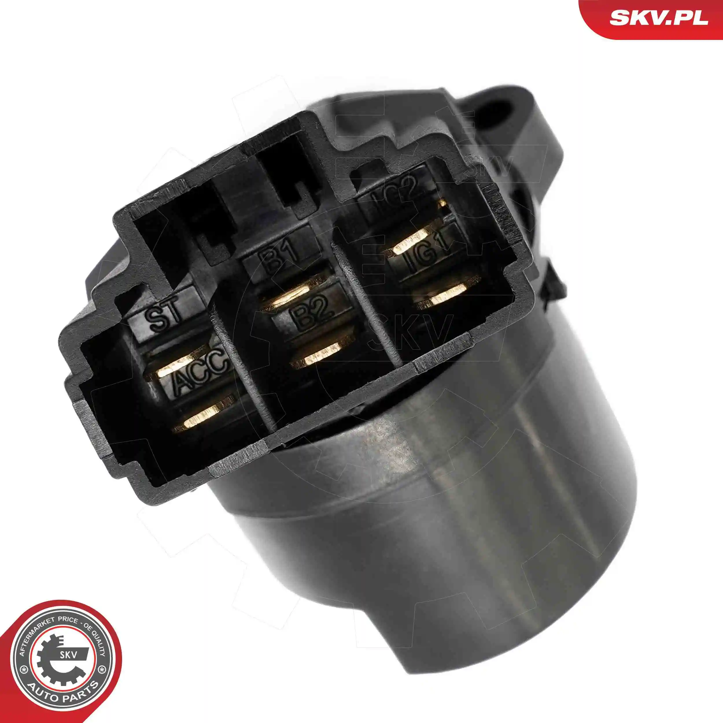 Ignition Switch 65SKV043