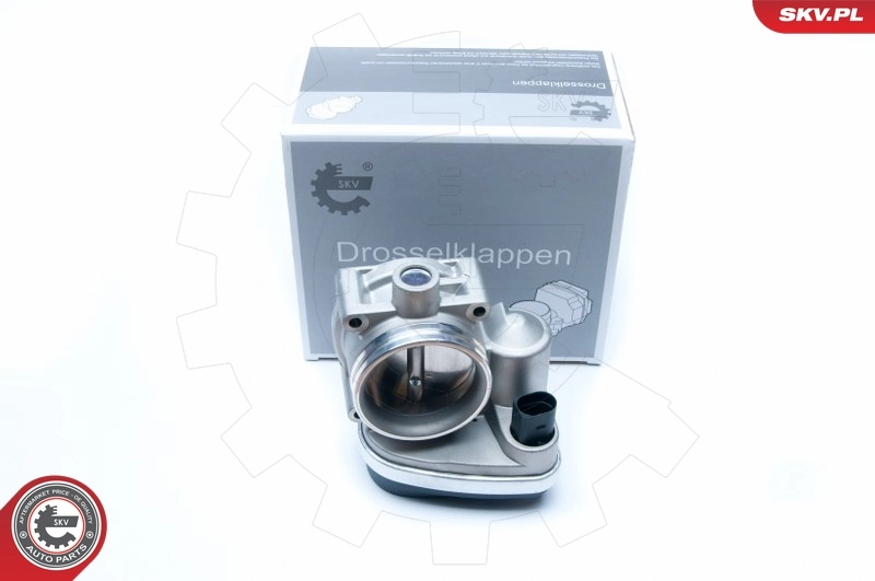 Throttle Body 12SKV050