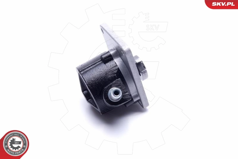 Vacuum Pump, braking system 18SKV027