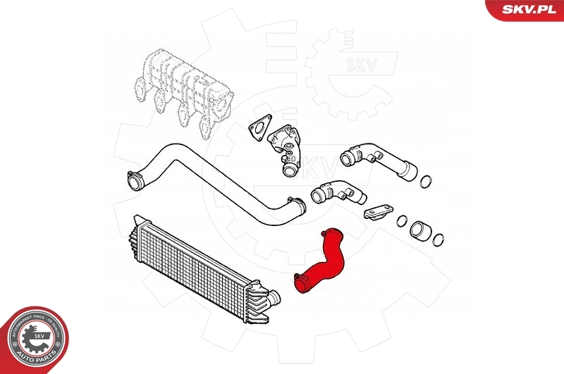 Charge Air Hose 43SKV068