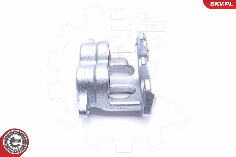 Brake Caliper 46SKV091