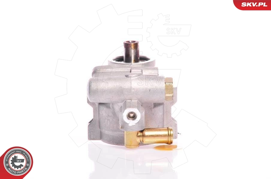 Hydraulic Pump, steering 10SKV126