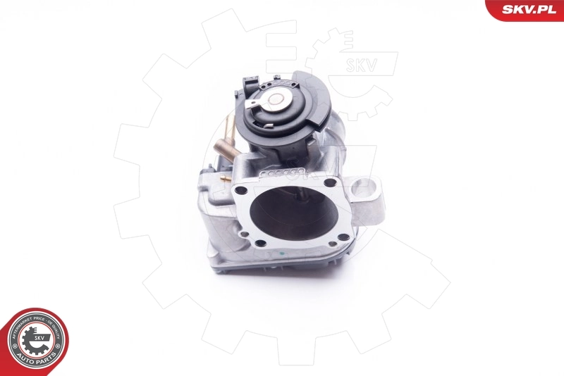 Throttle Body 12SKV035