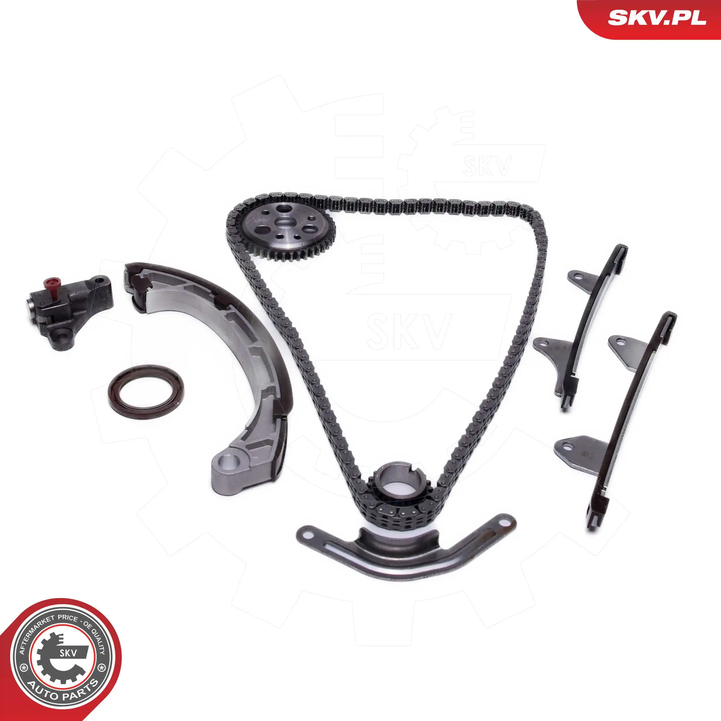 Timing Chain Kit 21SKV270