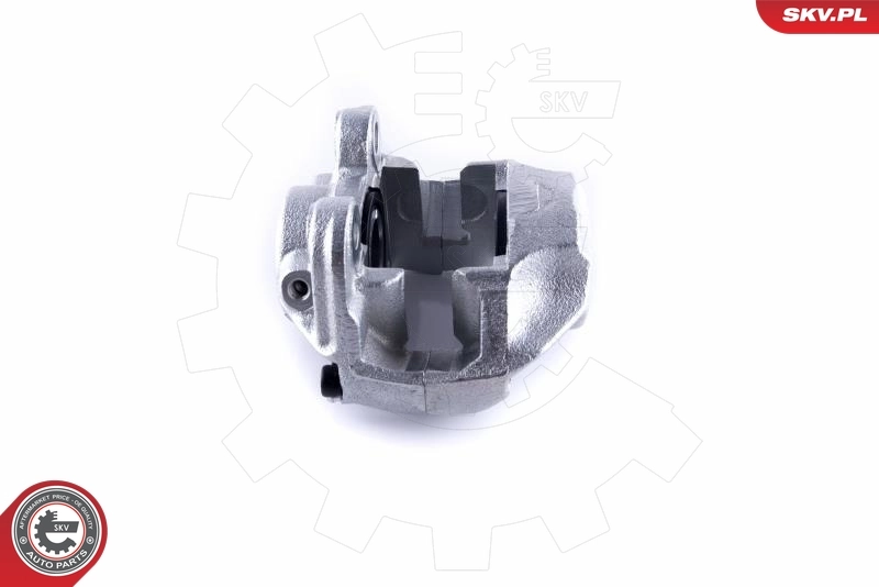 Brake Caliper 55SKV351