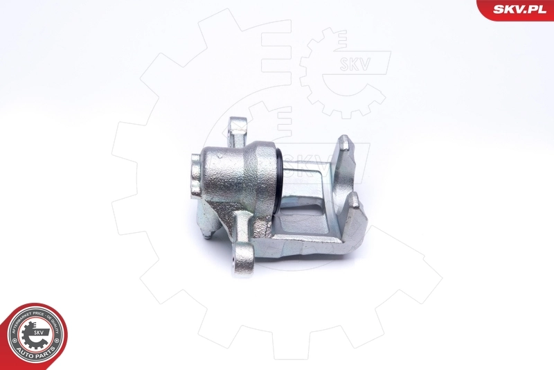 Brake Caliper 45SKV194