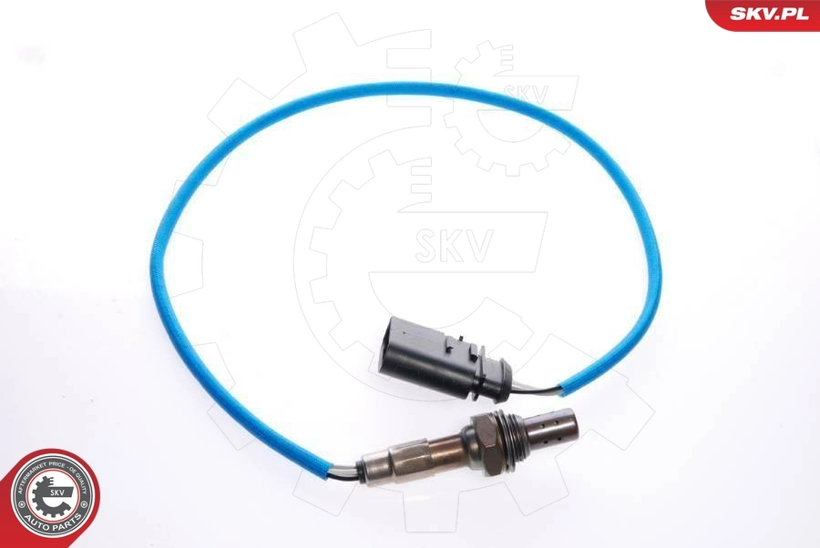 Oxygen Sensor 09SKV029