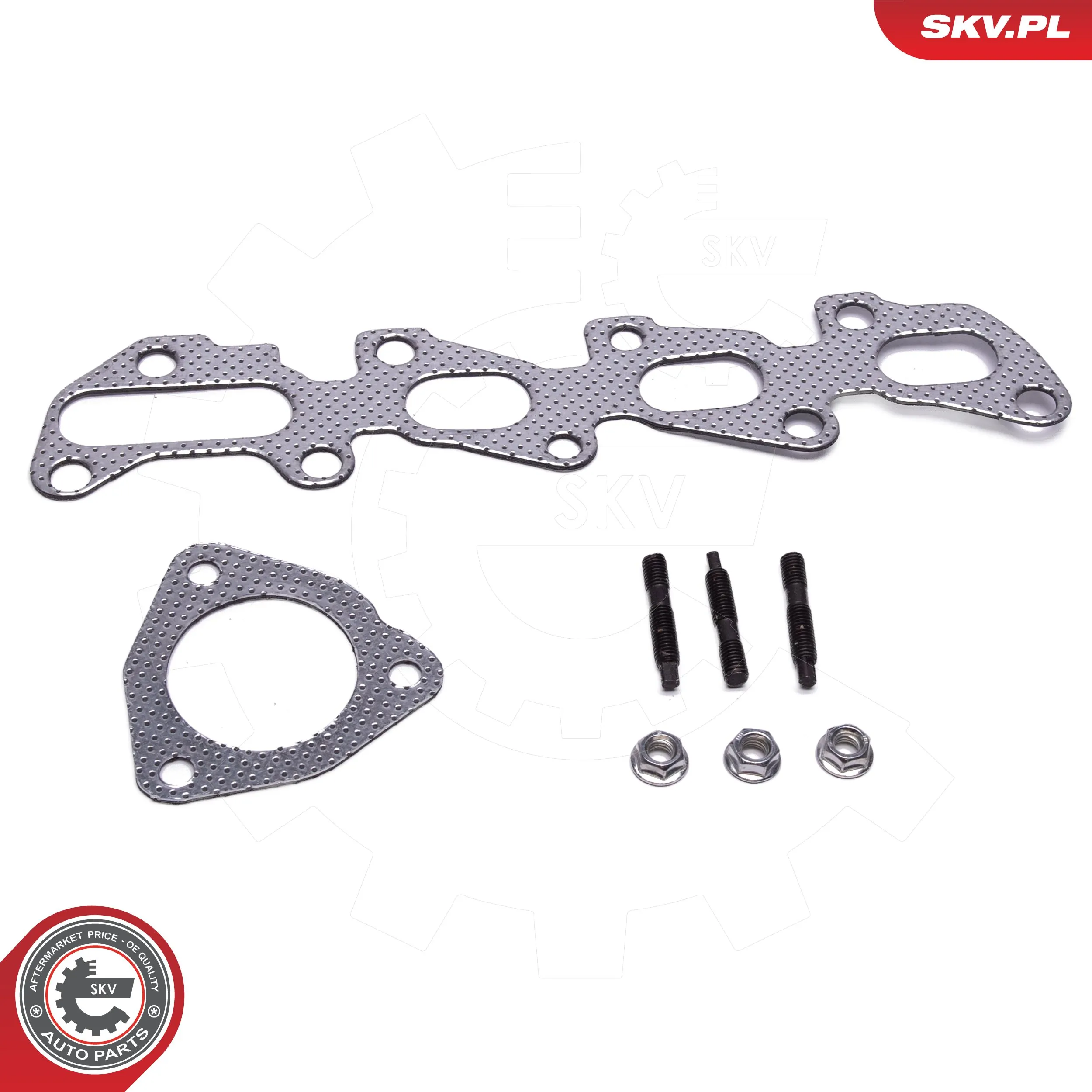 Catalytic Converter 62SKV021