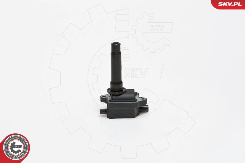Ignition Coil 03SKV149