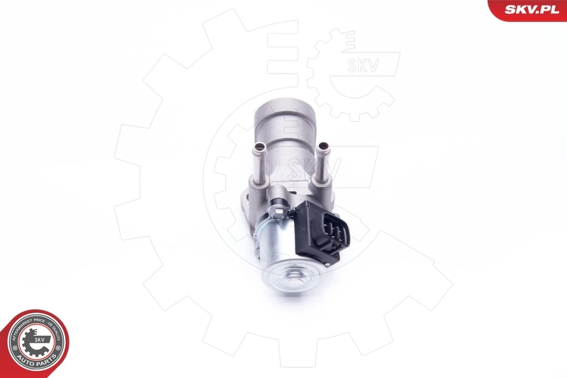 ESEN SKV 14SKV188 EGR Valve