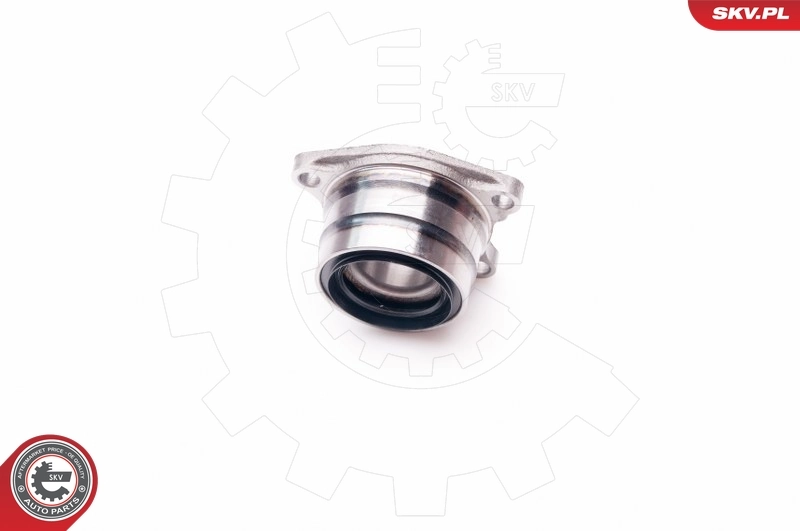 Wheel Bearing Kit 29SKV123