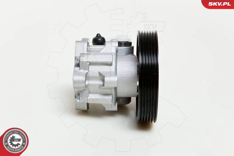 ESEN SKV 10SKV009 Hydraulic Pump, steering
