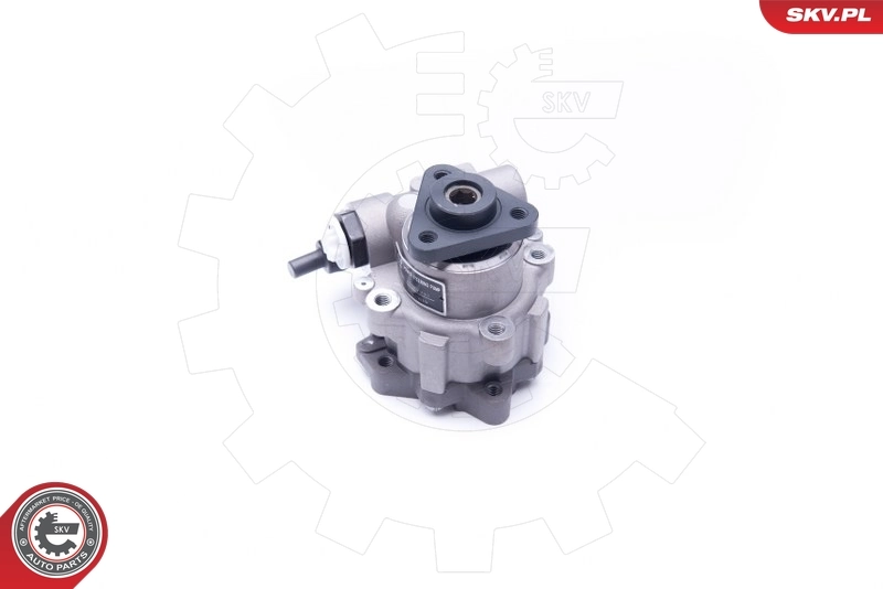 Hydraulic Pump, steering 10SKV242