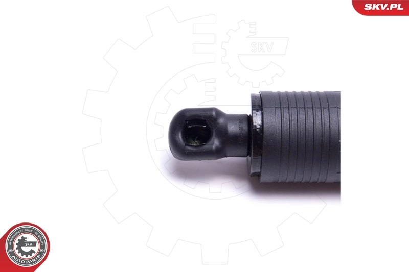 Electric Motor, tailgate 52SKV907