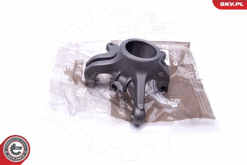 Steering Knuckle, wheel suspension 47SKV212