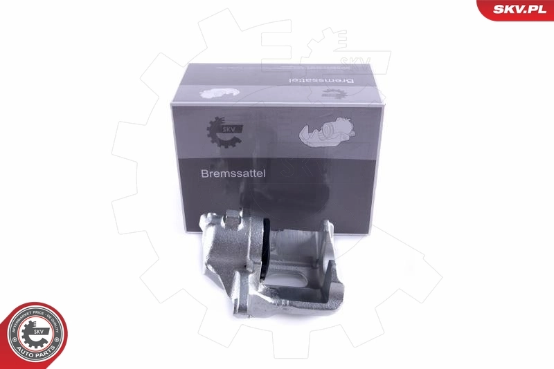 Brake Caliper 55SKV052