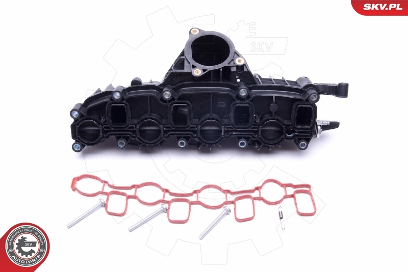 Intake Manifold Module 49SKV007