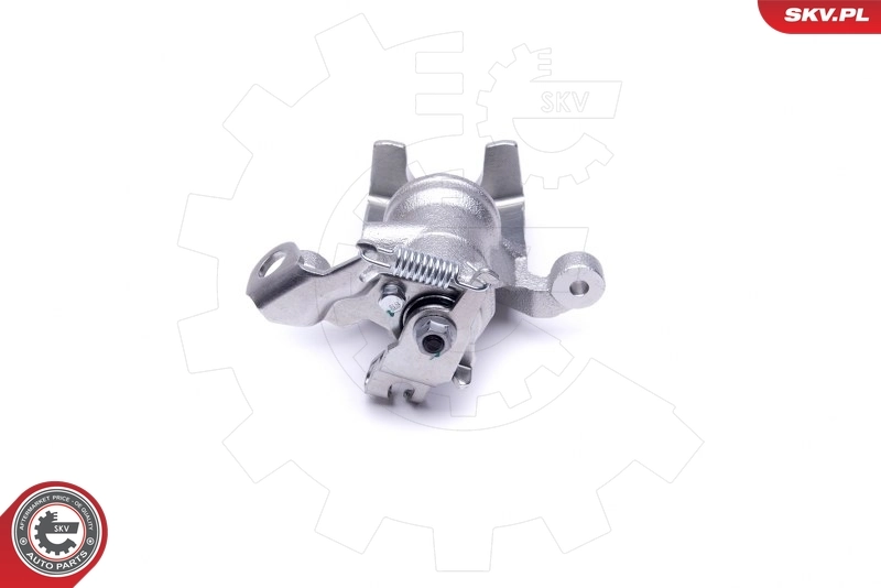Brake Caliper 46SKV843