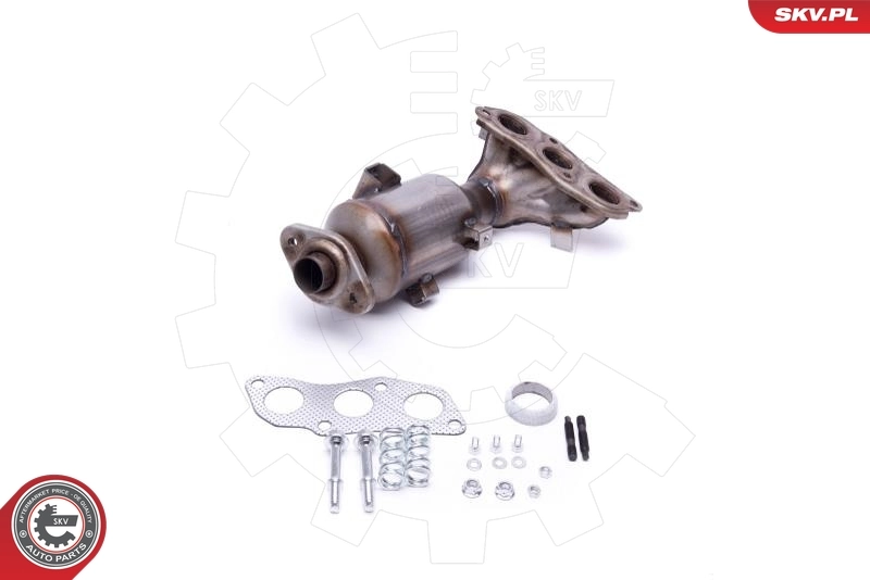 ESEN SKV 62SKV001 Catalytic Converter