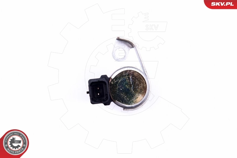 Control Valve, camshaft adjustment 39SKV064