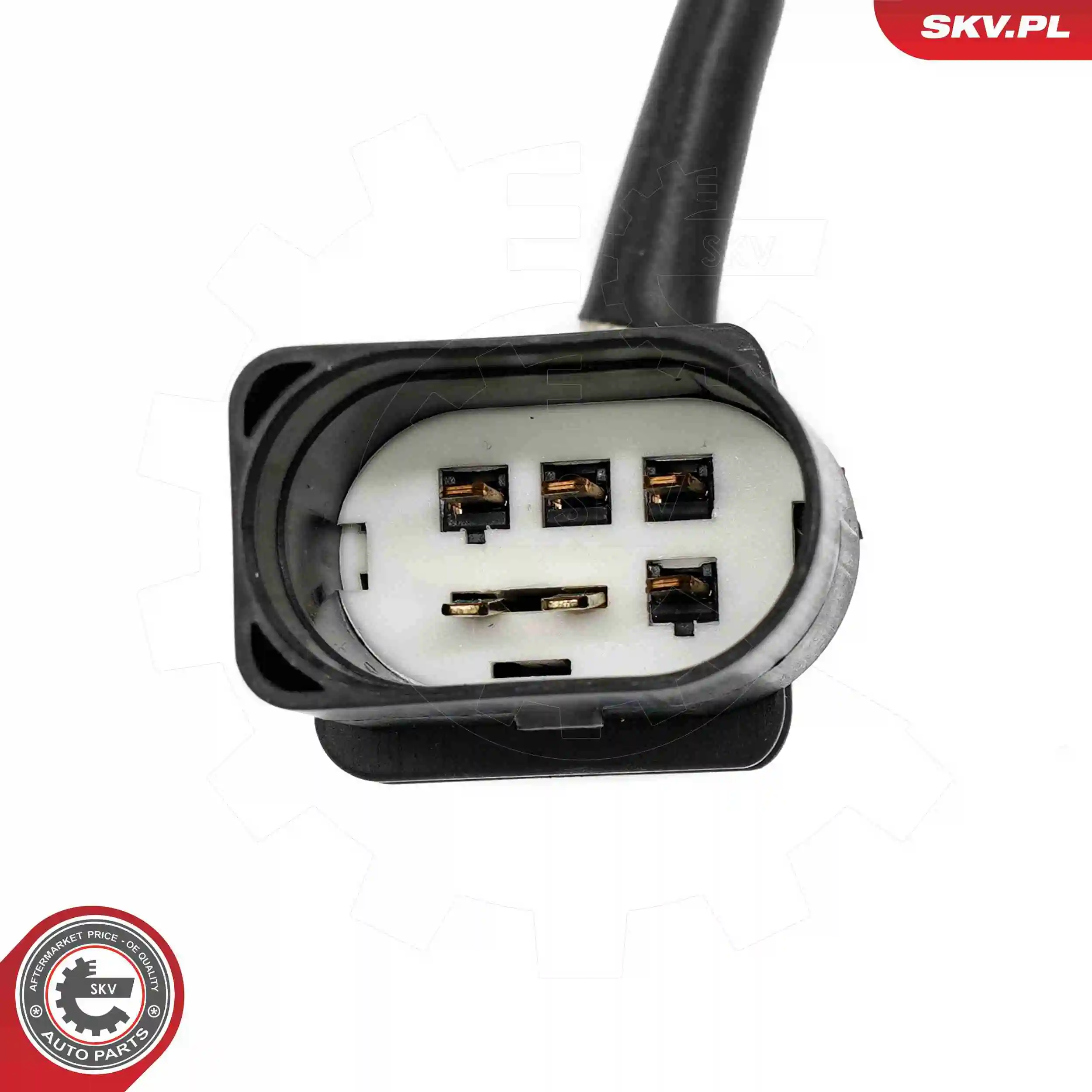 Oxygen Sensor 09SKV161