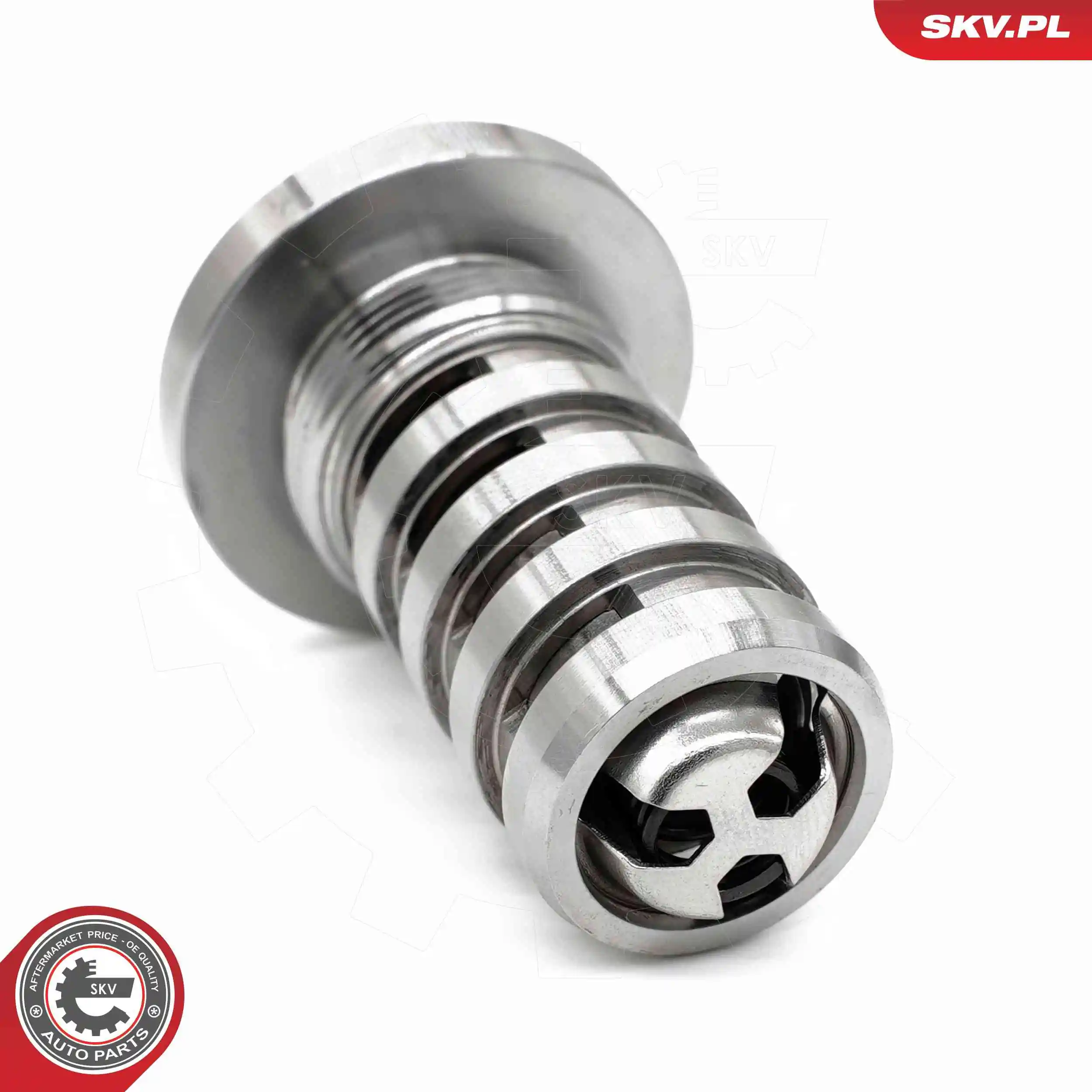 Control Valve, camshaft adjustment 39SKV067