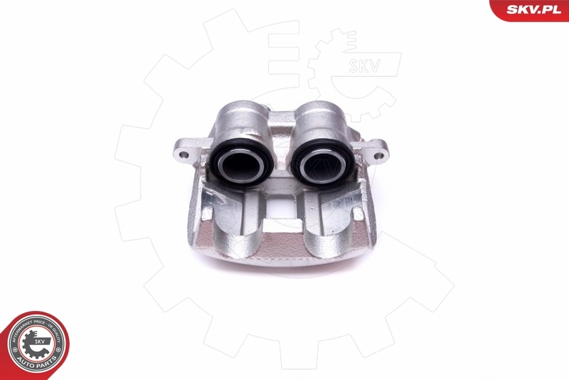 Brake Caliper 50SKV173