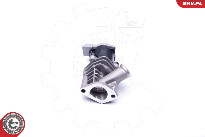 EGR Valve 14SKV173