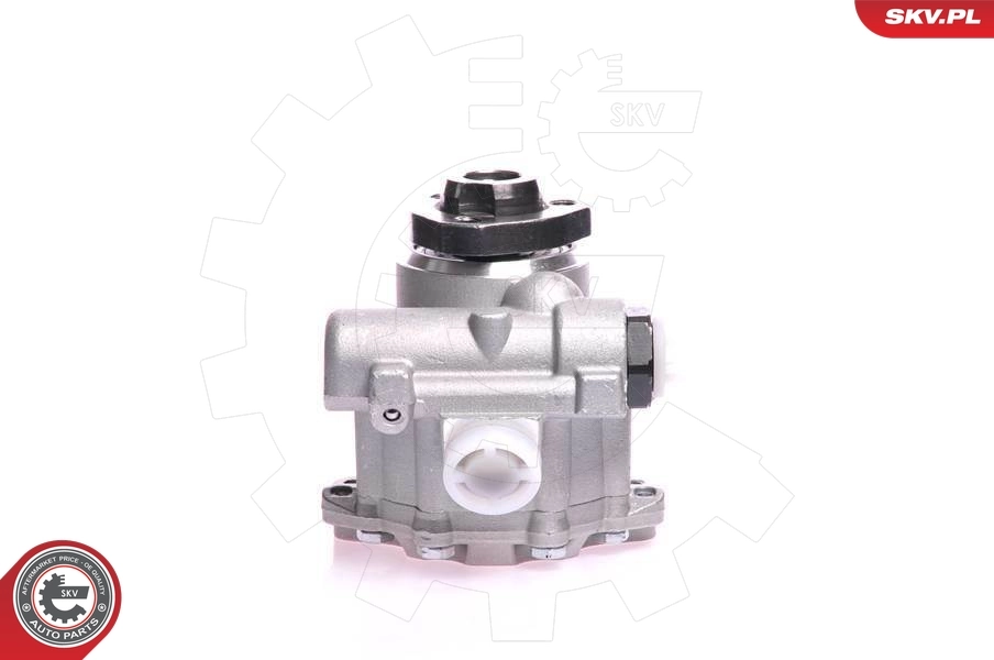 Hydraulic Pump, steering 10SKV121