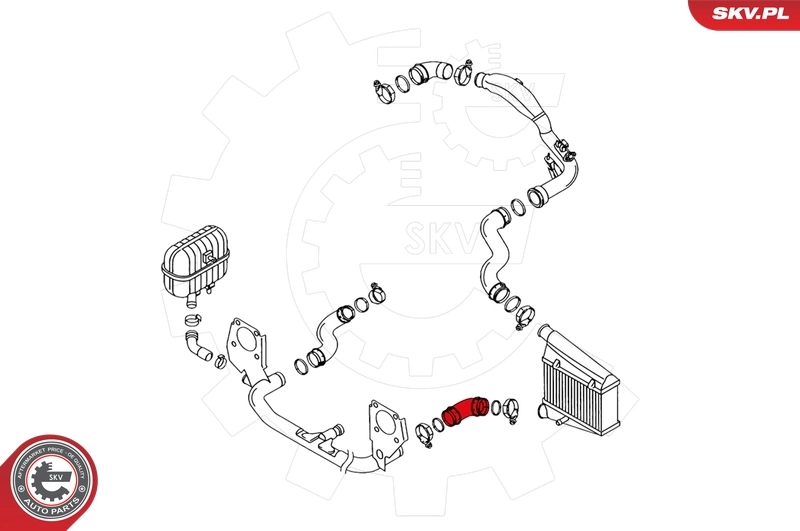 Charge Air Hose 24SKV025