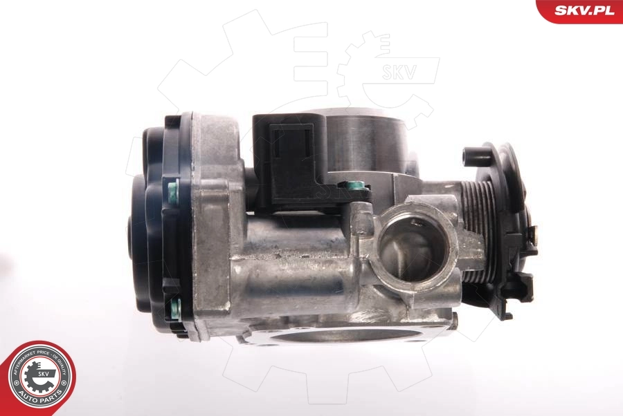 Throttle Body 12SKV013