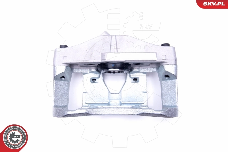 Brake Caliper 46SKV161