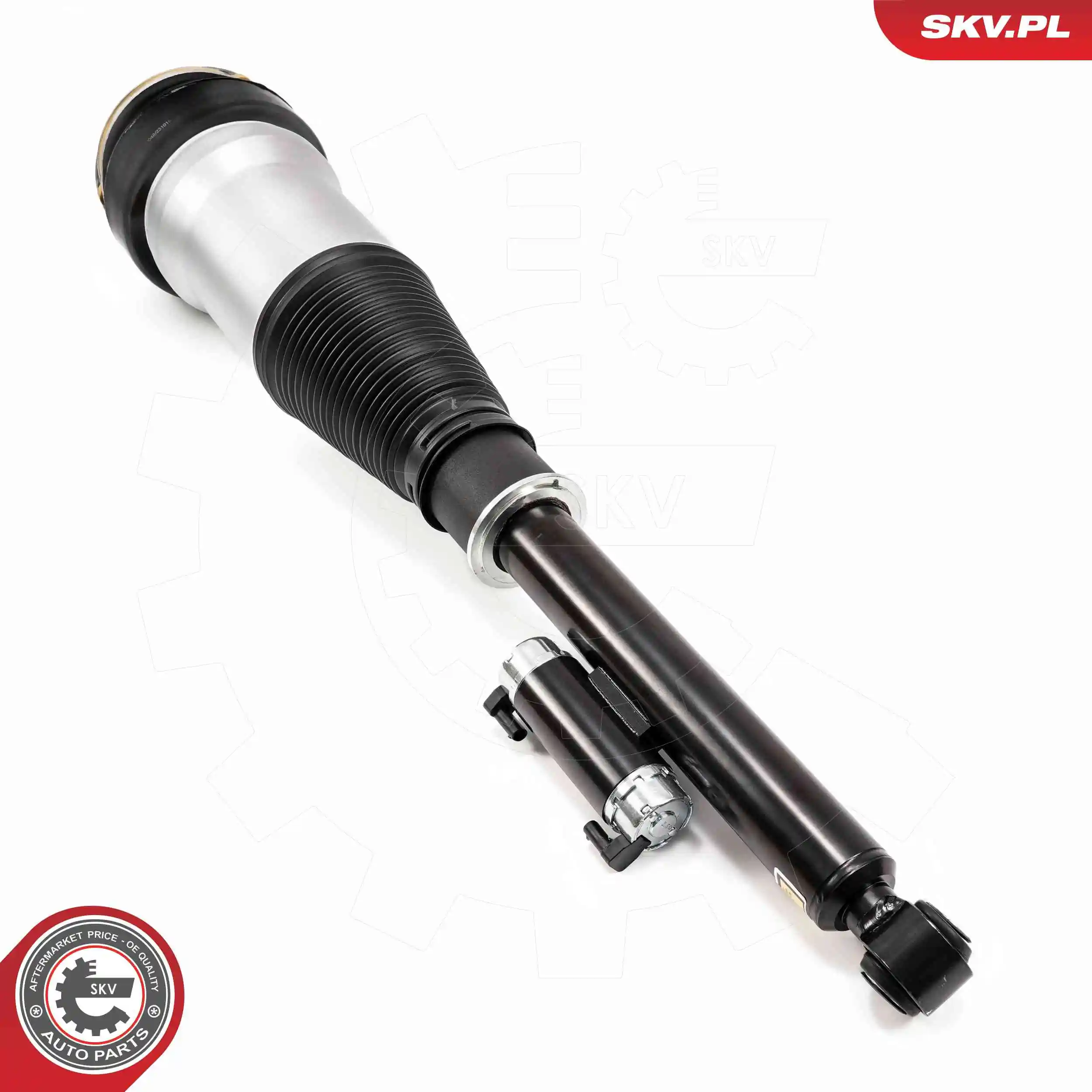 Air Suspension Strut 58SKV725