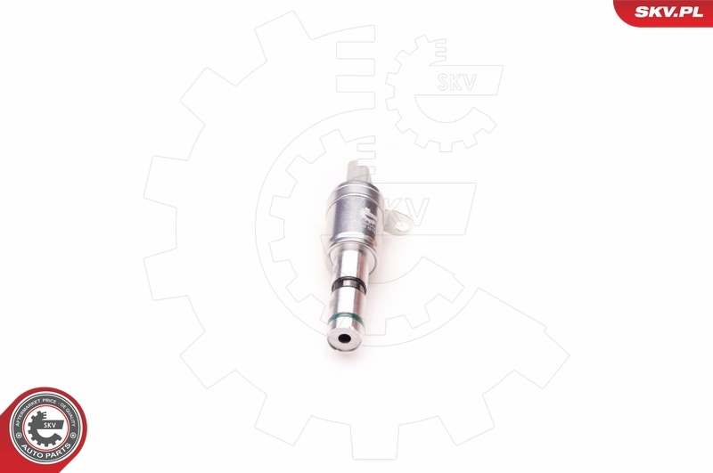 Control Valve, camshaft adjustment 39SKV007