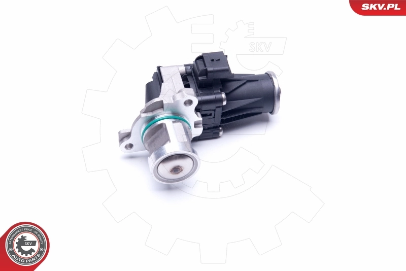 EGR Valve 14SKV185