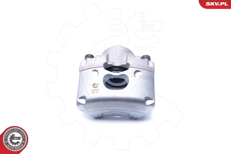Brake Caliper 42SKV821