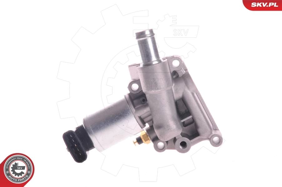 EGR Valve 14SKV003