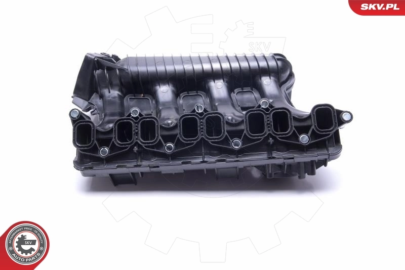 Intake Manifold Module 49SKV025