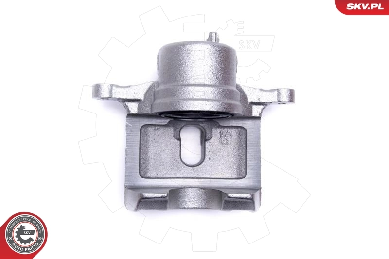 Brake Caliper 46SKV832