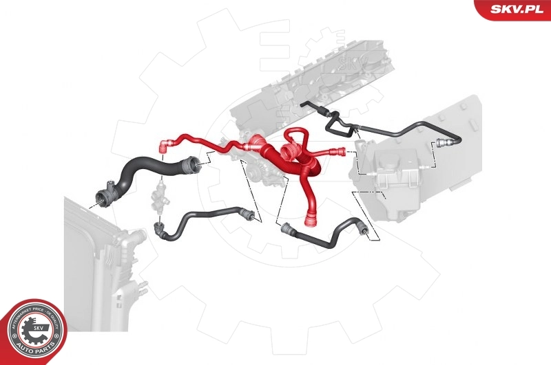 Radiator Hose 43SKV705