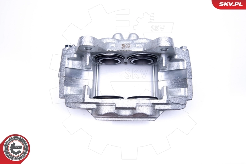 Brake Caliper 45SKV202