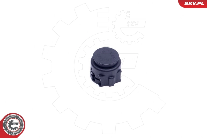 Sealing Plug, coolant flange 43SKV620