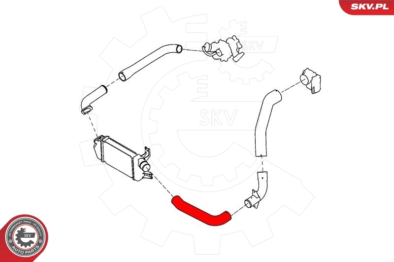 Charge Air Hose 43SKV252