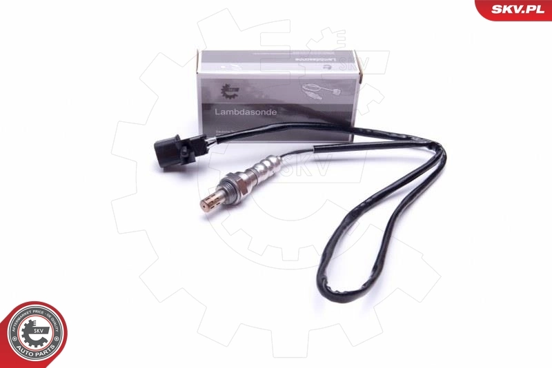 Oxygen Sensor 09SKV438
