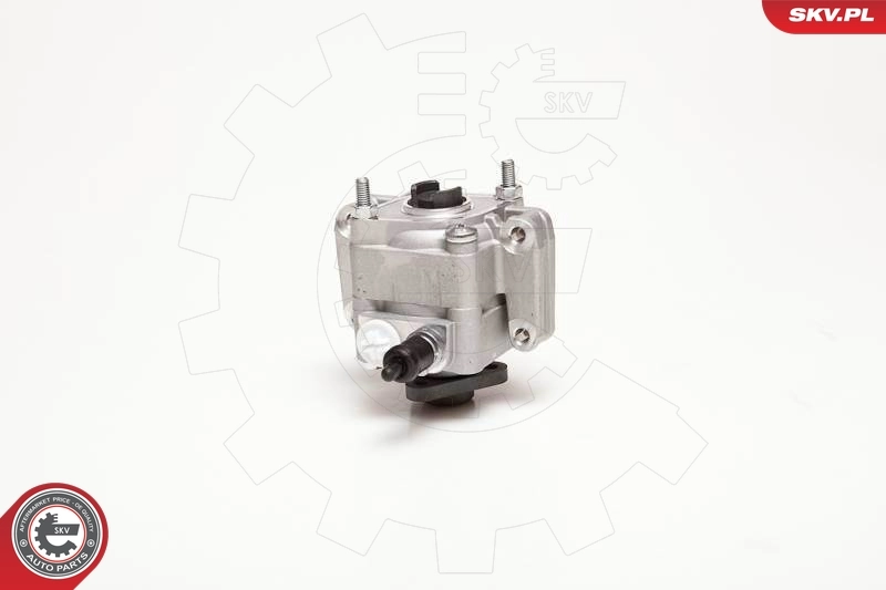 Hydraulic Pump, steering 10SKV109