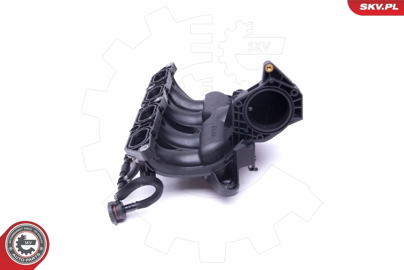 Intake Manifold Module 49SKV045