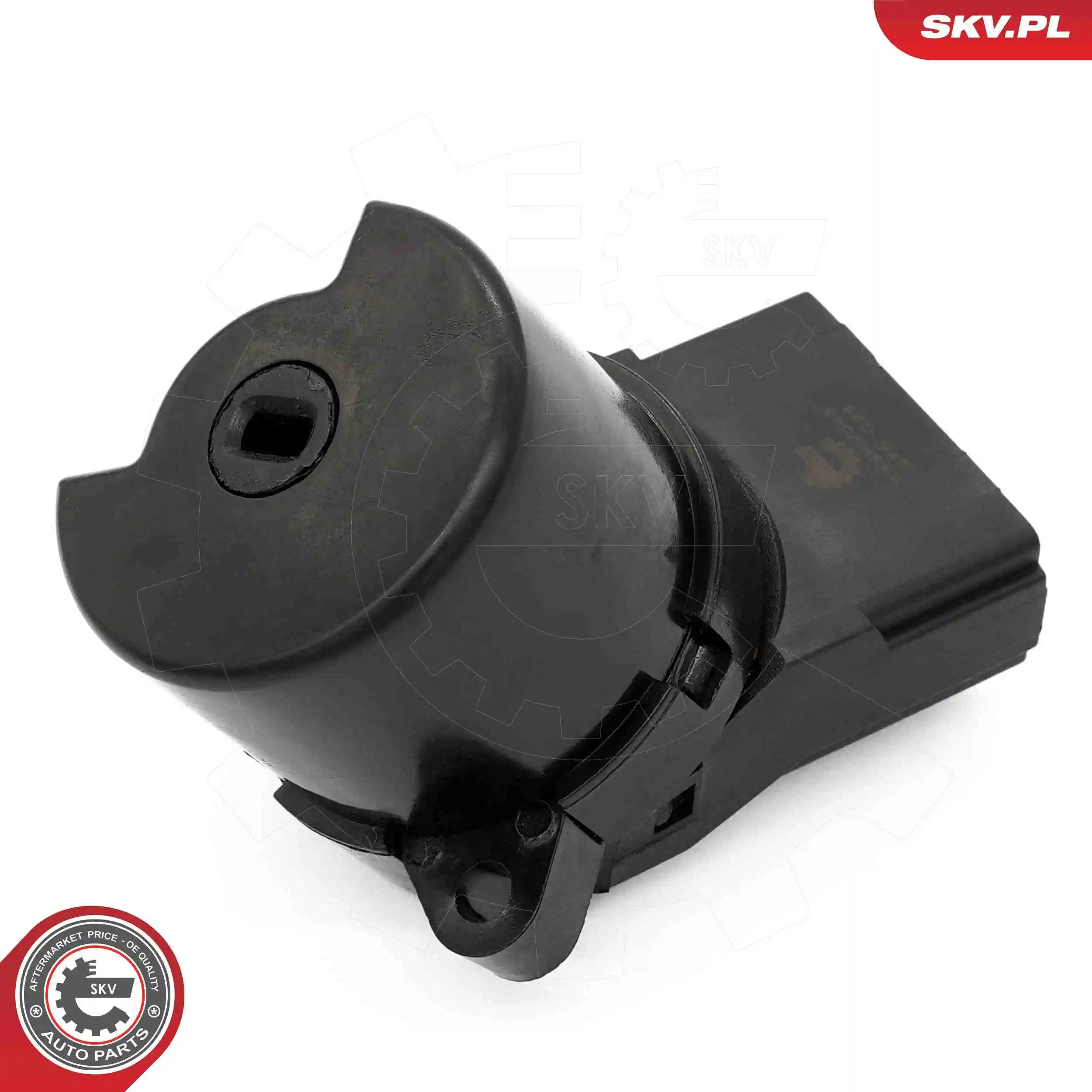 Ignition Switch 65SKV043