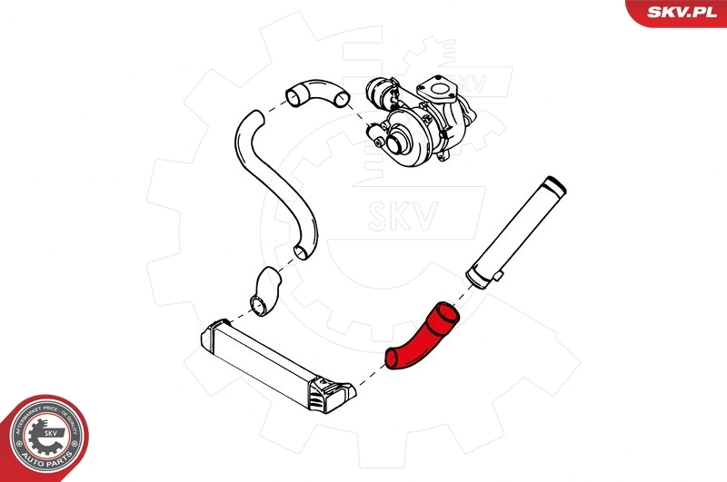 Charge Air Hose 24SKV989